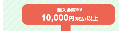 購入金額 10,000円以上