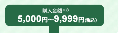 購入金額 5,000～9,999円