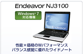 Endeavor NJ3100