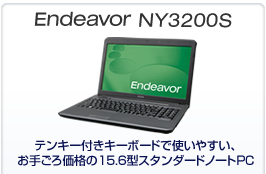 Endeavor NY3200S