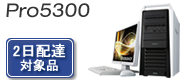 Endeavor Pro5300