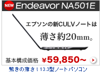 Endeavor NA501E