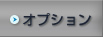 オプション