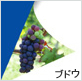 47系インク画像