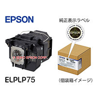交換用ランプ ｜ 交換用ランプ 型番：ELPLP75 | エプソンダイレクト