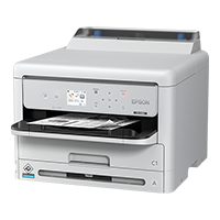 PX-S382